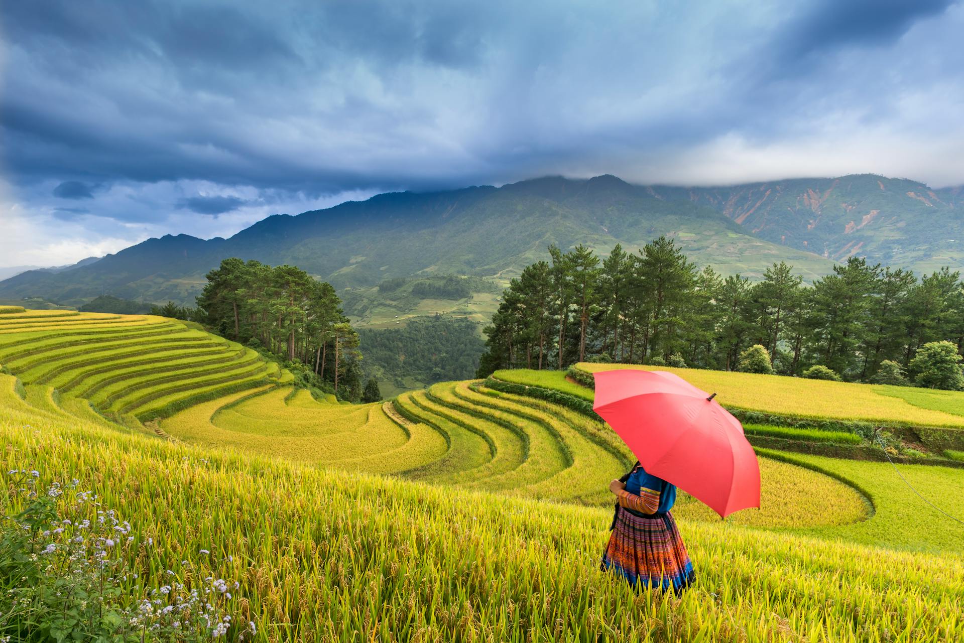 Capture the vibrant beauty of Ta Van in spring